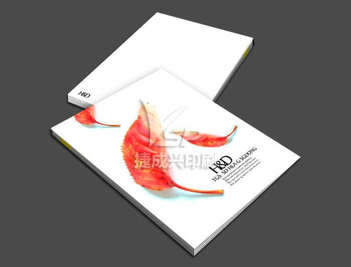 企業(yè)畫(huà)冊(cè)印刷