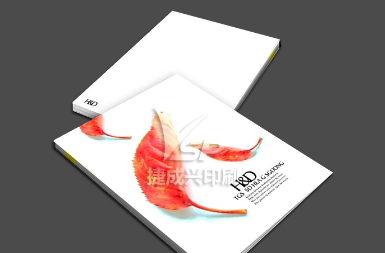 企業(yè)畫(huà)冊(cè)印刷設(shè)計(jì)中應(yīng)該包含的要素